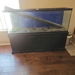 Aquarium Tank