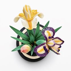 Japanese okimono from the Meiji period (1868–1912) iris botanical hana-shōbu