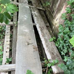Cedar Beam Remnants From Elliot Bay Bookstore