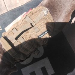 Service dog harnessed