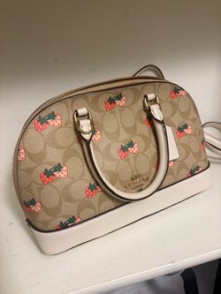 Bolsa coach