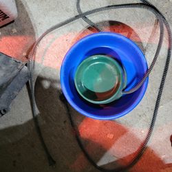 Heated Water Dishes
