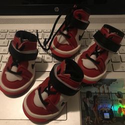 Jordan 1 For Small Dog