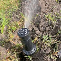 Sprinkler Heads