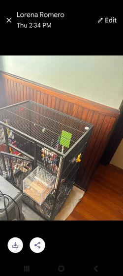Bird Cage