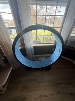 Cat Exercise Wheel
