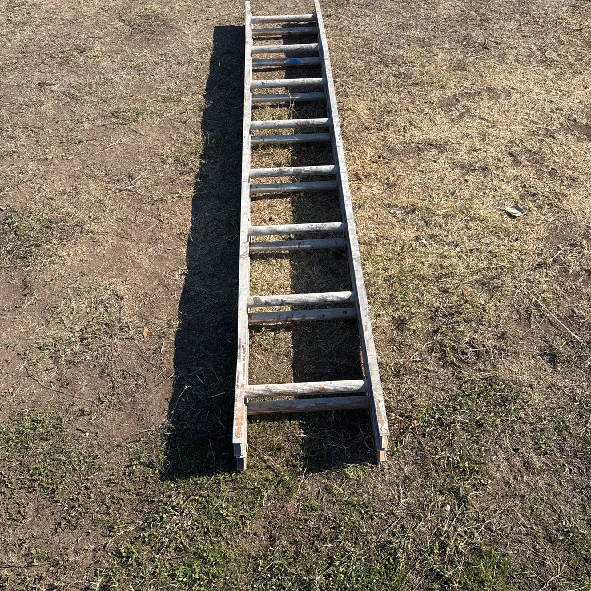 Ladder