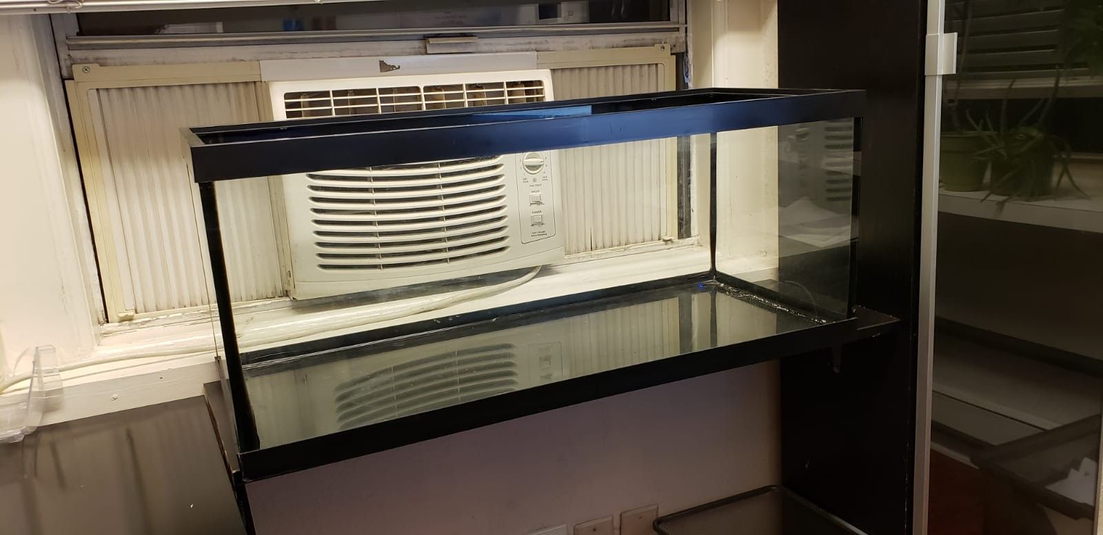 20 gallon long, fish tank or reptile tank