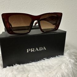 Woman Sunglasses 