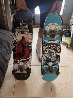 Birdhouse and Element Complete Skateboards – Lot of 2