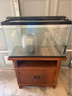 29 gallon aquarium