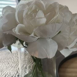 artificial plants like new both $13