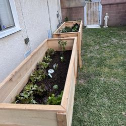 Planters
