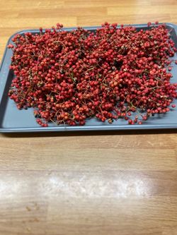 Sichuan pepper plants