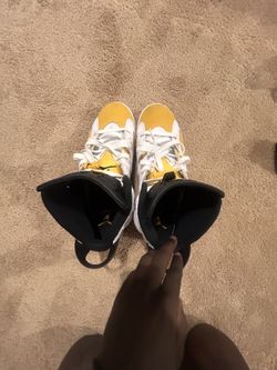Jordan 6s