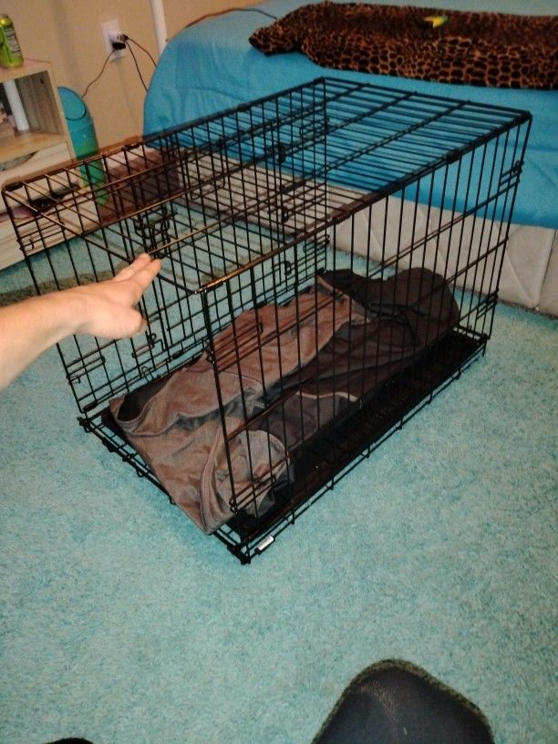 Dog Crate