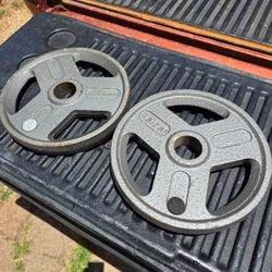 25lb Olympic weight plates pair