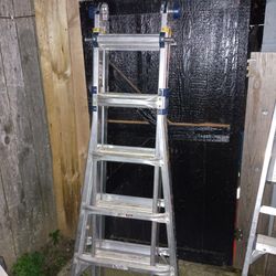 2 Extension Ladders