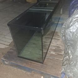 Aquarium Tank