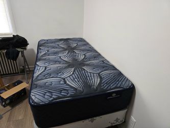 Serta perfectsleep twin mattress + metal frame set