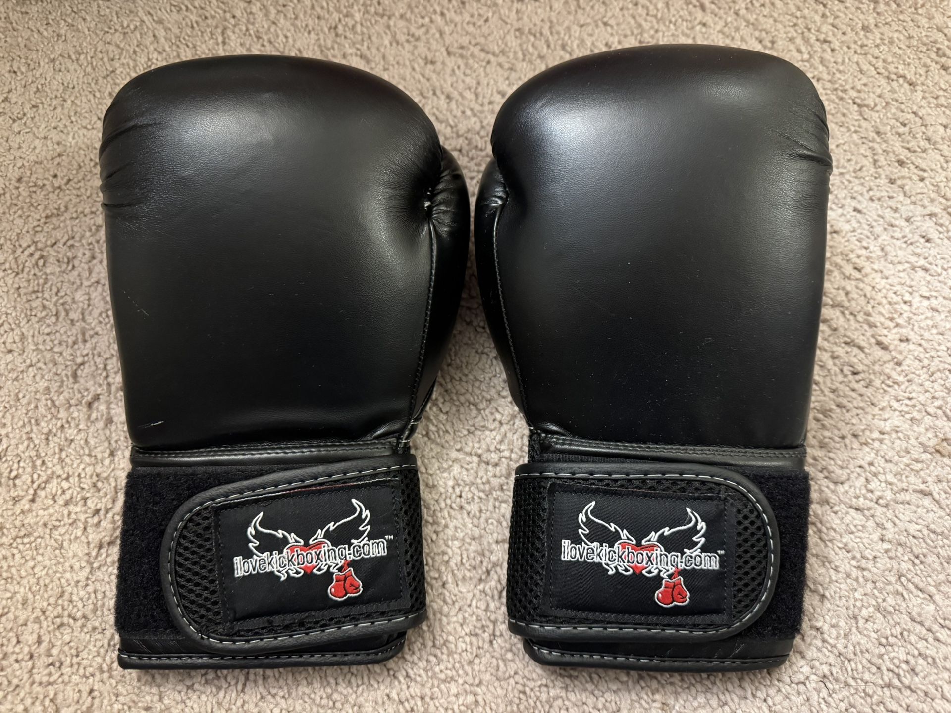 Century Brave Boxing Gloves for Men and Women | Training Gloves Equipment and Boxing Gear Ideal use for Martial Arts Kickboxing Muay Thai MMA Punching