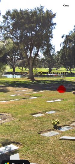 Rose Hills Memorial Park “Cherry Blossom Lawn” Cemetery Plot
