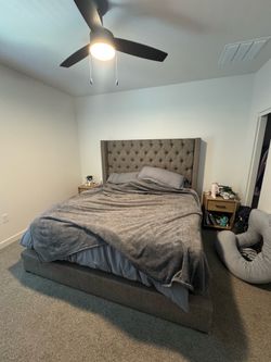 Bed frame/box spring and mattress