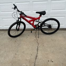 Dynasty Bike Size24”