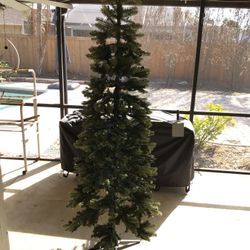 Christmas Tree 