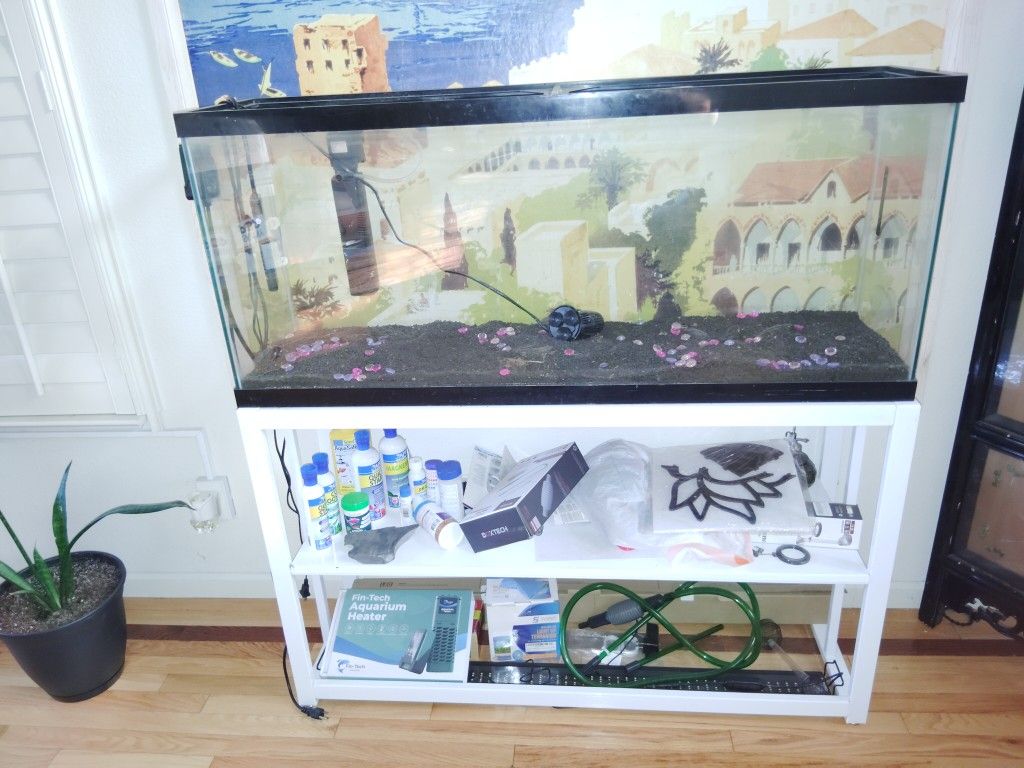 65 Gallon Fish tank With Stand
