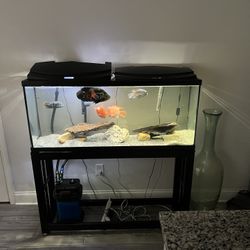 55 Gallon Set Up 