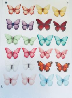 Edible butterflies wafer paper or sugar paper