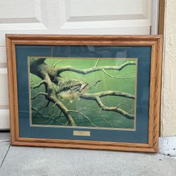 Nice Picture Frame
