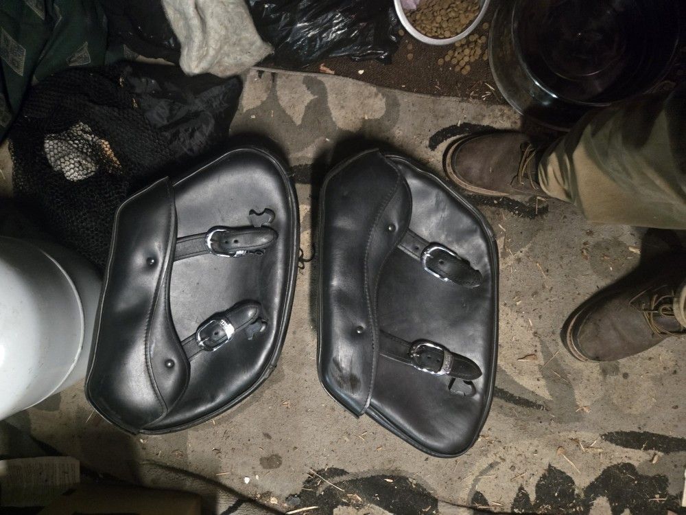 Harley Davidson Saddle Bags