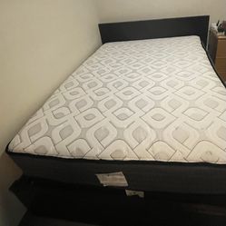 Queen Mattress + Box spring 