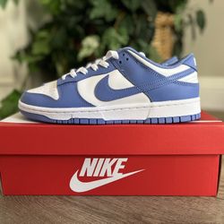 Nike Dunk Low Polar Blue Mens Size 10 Brand New in Box