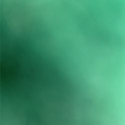 Free Cat For Good Home