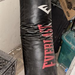 Everlast Punching Bag