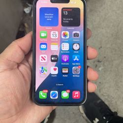iPhone 14