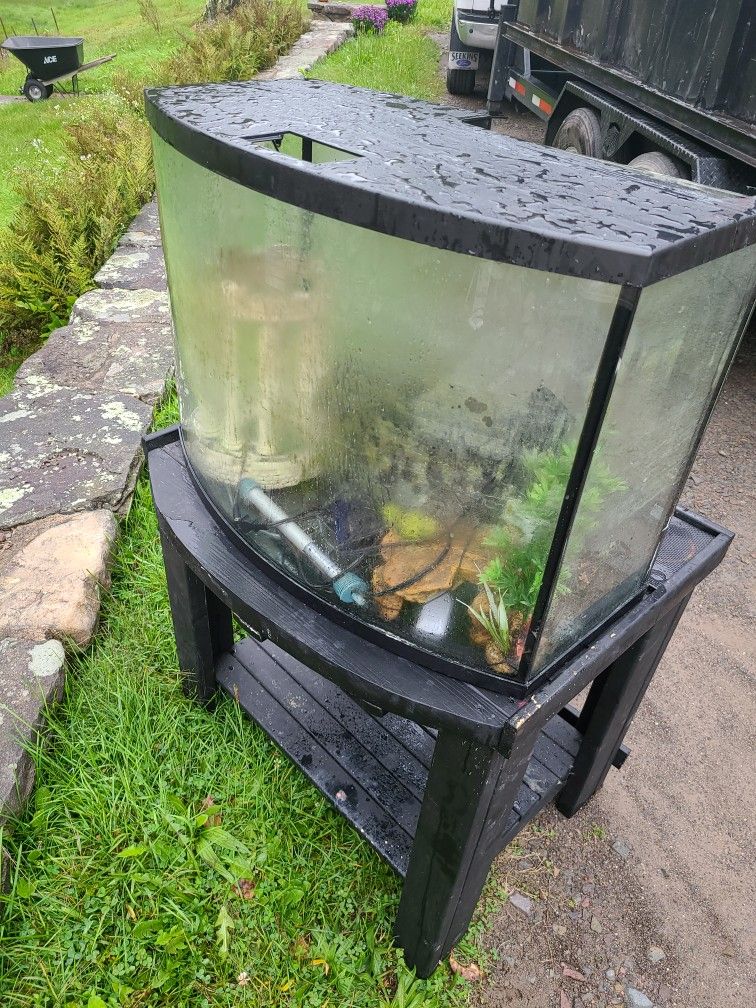 Large Glass Tank