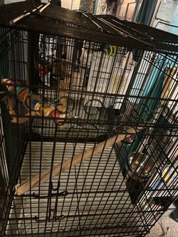 large birdcage