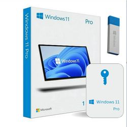 Windows 11 Professional 64bit