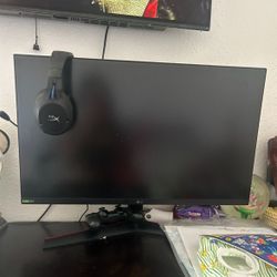 LG Gaming Monitor 