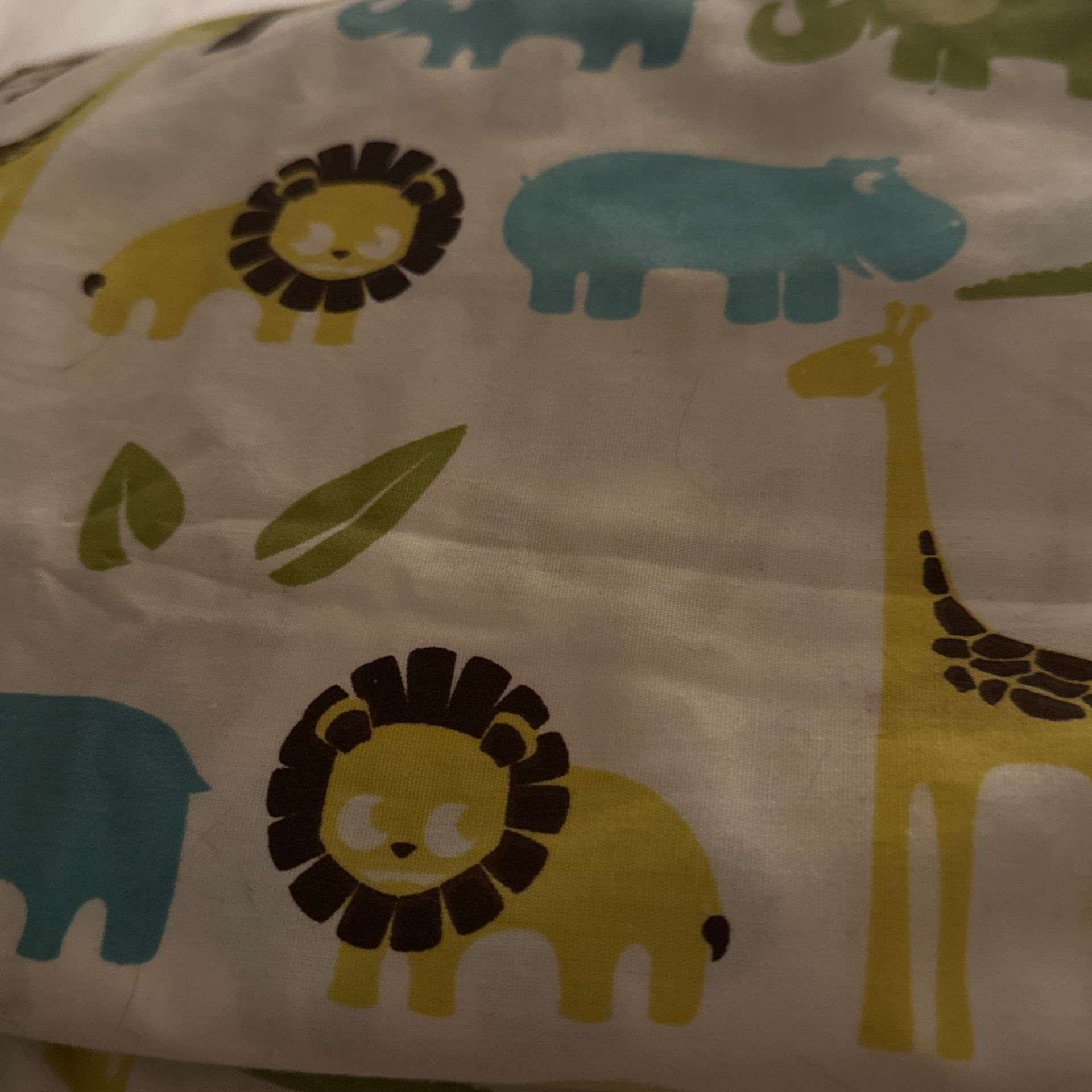 New Full Sheet Fitted And Flat And Bag To Match