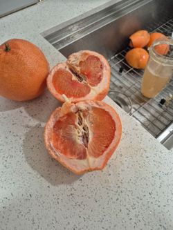 Grape fruit ( organic)
