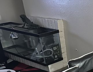 fish / reptile tank
