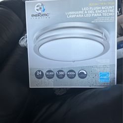Energetic Lighting LED Flush Mount