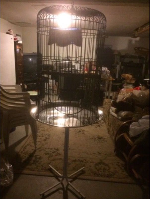Beautiful big cage