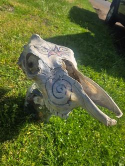Decorative cow skull