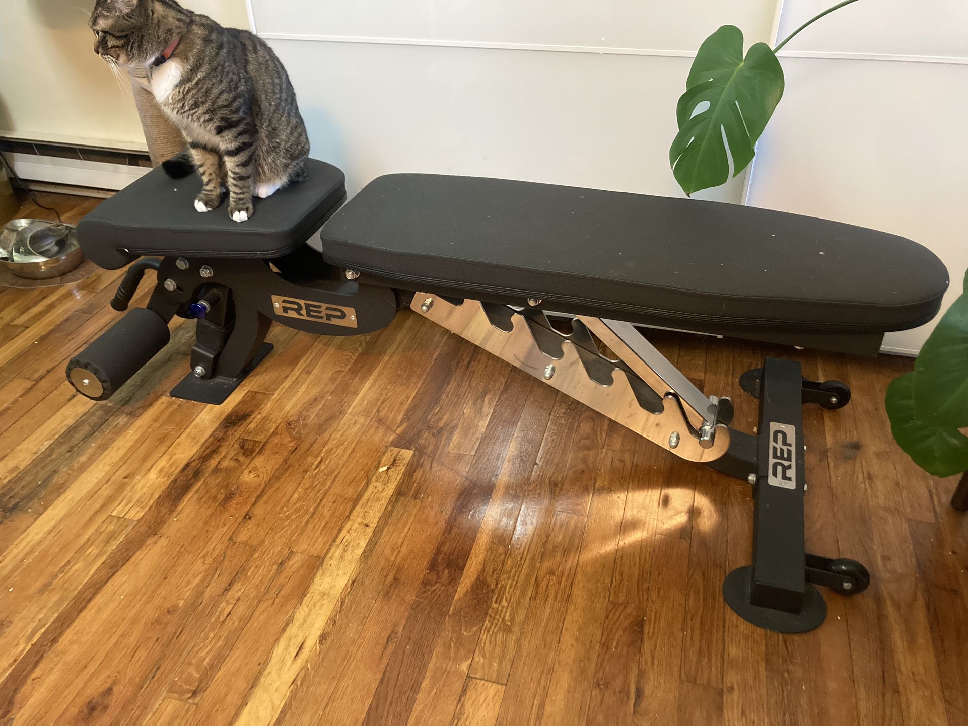 REP Fitness Weight Bench
